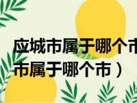 应城市属于哪个市中国平安一季度增长（应城市属于哪个市）