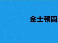 金士顿固态硬盘（金士顿）