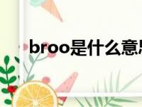 broo是什么意思（bro是什么意思啊）