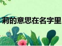 莉的意思在名字里（取名字莉的意思是什么）