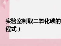 实验室制取二氧化碳的化学方程式（制取二氧化碳的化学方程式）