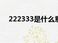 222333是什么意思（2333是什么意思）