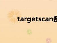 targetscan数据库（targetscan）