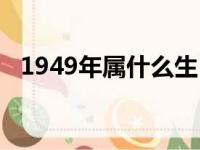 1949年属什么生肖（1947年属什么生肖）