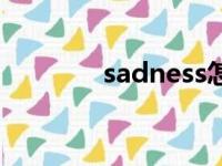 sadness怎么读（sadness）