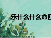 乐什么什么命四字成语（乐什么什么）