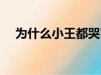 为什么小王都哭了（小王为什么会丢钱）