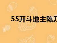 55开斗地主陈刀仔台词（55开斗地主）