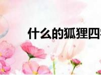 什么的狐狸四字词语（什么的狐狸）