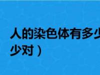 人的染色体有多少对多少条（人的染色体有多少对）