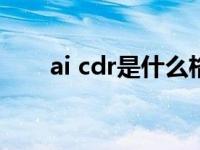 ai cdr是什么格式（cdr是什么格式）