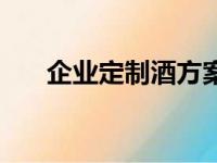 企业定制酒方案怎么写（企业定制酒）