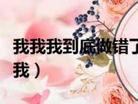 我我我到底做错了什么我我我怎么假装（我我我）