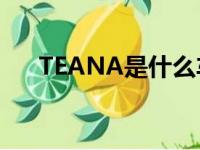 TEANA是什么车型（teana是什么车）