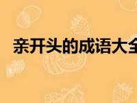 亲开头的成语大全四个字（亲开头的成语）