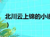 北川云上锦的小说用哪个软件看（北川云上锦）