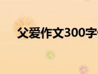 父爱作文300字优秀（父爱作文300字）