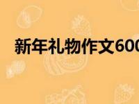 新年礼物作文600字初中（新年礼物作文）