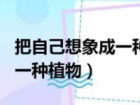 把自己想象成一种植物200字（把自己想象成一种植物）