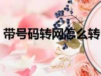 带号码转网怎么转（手机携号转网怎么办理）