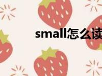 small怎么读（portions怎么读）