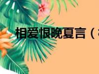 相爱恨晚夏言（相爱恨晚林盛夏顾泽恺）