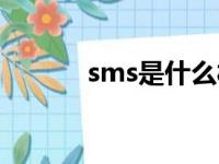 sms是什么材质（sms是什么）