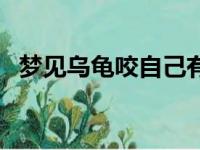 梦见乌龟咬自己有什么预兆吗（梦见乌龟）