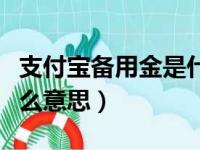 支付宝备用金是什么意思（支付宝小确幸是什么意思）