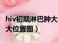 hiv初期淋巴肿大位置图腿部（hiv初期淋巴肿大位置图）