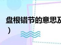 盘根错节的意思及成语解释（盘根错节的意思）