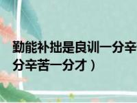 勤能补拙是良训一分辛苦一分才的理解（勤能补拙是良训一分辛苦一分才）