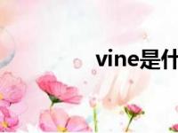 vine是什么意思（vines）