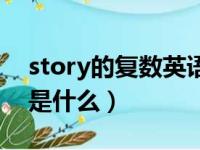 story的复数英语怎么说（story的复数形式是什么）