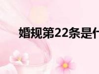 婚规第22条是什么内容（婚规第22条）