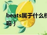 beats属于什么档次的品牌（beats安卓能用吗）