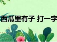 西瓜里有子 打一字（西瓜里面有子打一汉字）