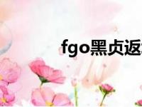 fgo黑贞返场（fgo黑贞复刻）