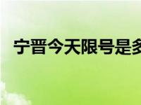 宁晋今天限号是多少（宁晋今天限什么号）