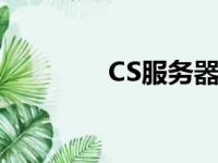 CS服务器模式（cs服务器）