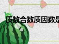 质数合数质因数是什么（质数合数质因数）