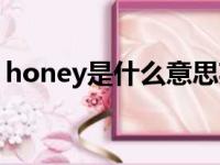 honey是什么意思英文（honey是什么意思）