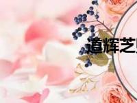 道辉芝贴吧（道辉芝）