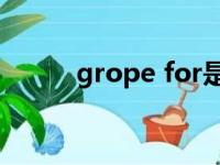 grope for是什么意思（grope）