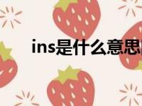 ins是什么意思网络热词（ins是什么）