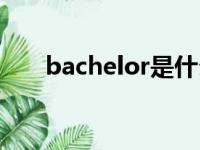 bachelor是什么意思啊（bachelor）