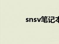 snsv笔记本电脑价格（snsv）