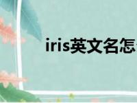 iris英文名怎么样（iris英文名字）