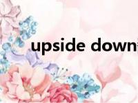 upside down翻译（upside down）