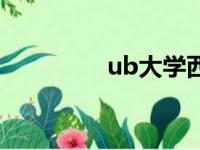 ub大学西班牙（ub大学）